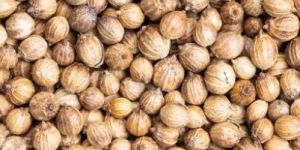 Coriander Seeds