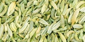 Fennel Seeds