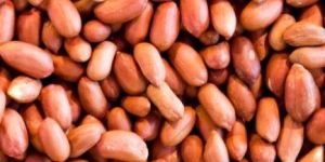 Peanut