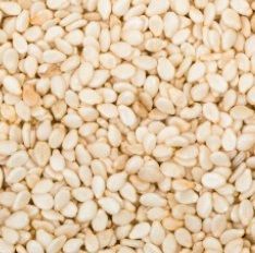 Sesame Seeds