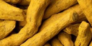 Turmeric Dried