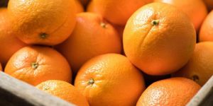 Fresh Orange