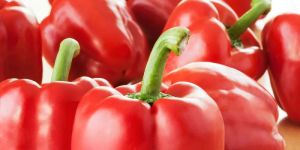 Fresh Red Bell Pepper