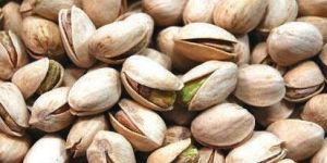 Pistachio Nut