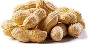 Groundnut