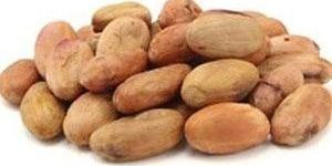 Organic Cacao Beans (Raw)