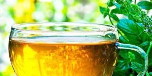 Peppermint Tea