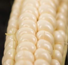 White Maize