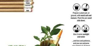 Plantable Eco-Pens