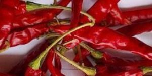 Dry Red Chillies - 273 Wrinkle