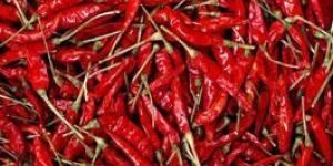 Dry Red Chillies - Sannam