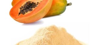 Papaya Juice Powder