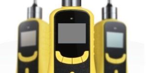 Mi-2000 Portable Gas Detector