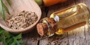 Celery Seed Oil