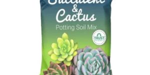 Powder Succulent and Cactus Potting Soil Mix