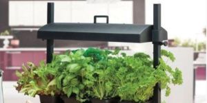 Trustbasket Indoor Jungle Plant Growing System with Lights