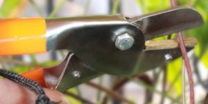 trustbasket royal cut crum garden roll cut pruning secateurs