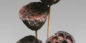 Natural Dried Exotic Lotus Medium On Stem
