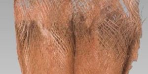 Natural Dried Exotic Palm Fibre