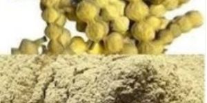 Babool Phali Powder (Kikar)