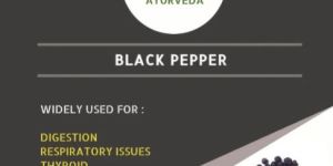 Black Pepper Seed