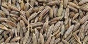 Brown Cumin Seed