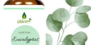 Eucalyptus Oil