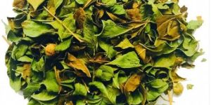Mehndi (Henna)leaves