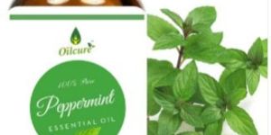 Peppermint Essential Oil