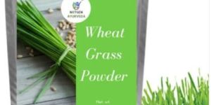 Wheat Grass Powder