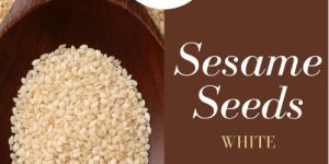 White Sesame Seed