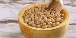 Chickpea Protein Powder