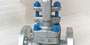 API 602 Gate Valve, ASTM A182 F53, 1/2 Inch, 150 LB, RF End