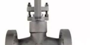 Pressure Seal Bonnet Gate Valve, ASTM A105N, 2 Inch, 2500 Lb