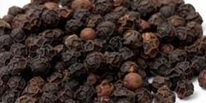 Black Pepper Seed