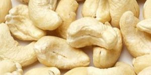 Cashew Nuts