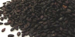 Sesame Seeds