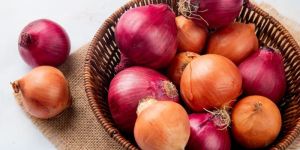 Fresh Red Onion