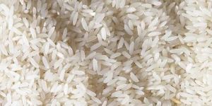 non-basmati rice