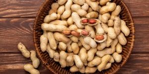 Peanut or Groundnut