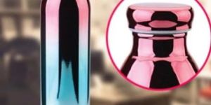 Thermosteel Water Bottle, 600 Ml, Fusion