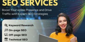 SEO Professional Services