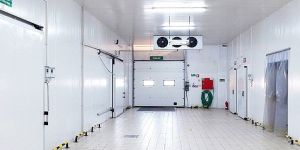 Ulo (Ultra Low Oxygen) Cold Storage Room