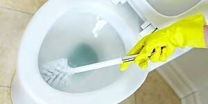 Organic Acid Based Toilet Cleaner