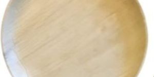 10Palm Leaf Dinner Plate