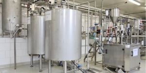 Curd Yogurt Butter Milk Processing Systems Processing Machine