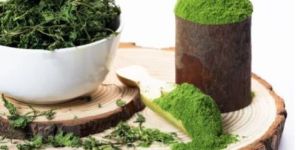 Dehydrated Coriander Leaf Powder