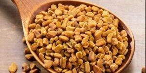 Fenugreek Seed