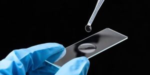 Microscope Slide Size 75mm Long X 25mm Wide