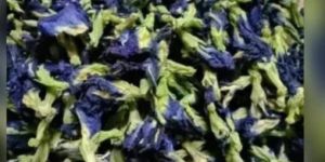 Dried Blue Butterfly Pea Flower